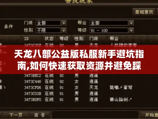 天龙八部公益版私服新手避坑指南,如何快速获取资源并避免踩雷?