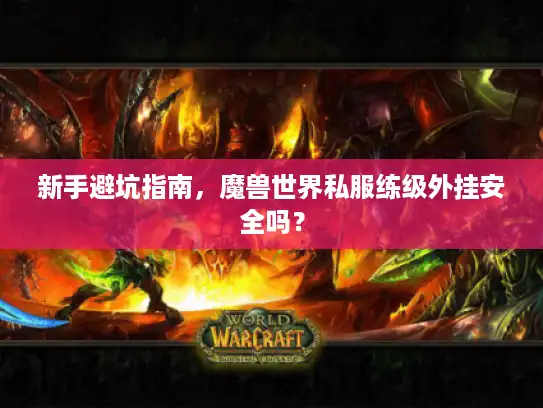 新手避坑指南,魔兽世界私服练级外挂安全吗? 新手避坑指南,魔兽世界私服练级外挂安全吗?