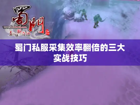 蜀门私服采集效率翻倍的三大实战技巧