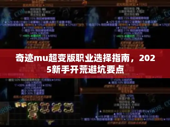 奇迹mu超变版职业选择指南，2025新手开荒避坑要点
