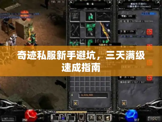 奇迹私服新手避坑，三天满级速成指南