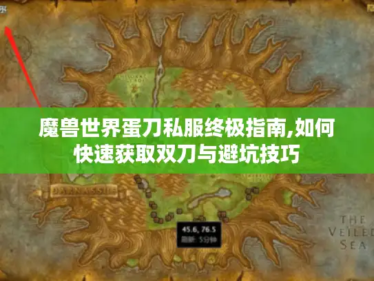魔兽世界蛋刀私服终极指南,如何快速获取双刀与避坑技巧
