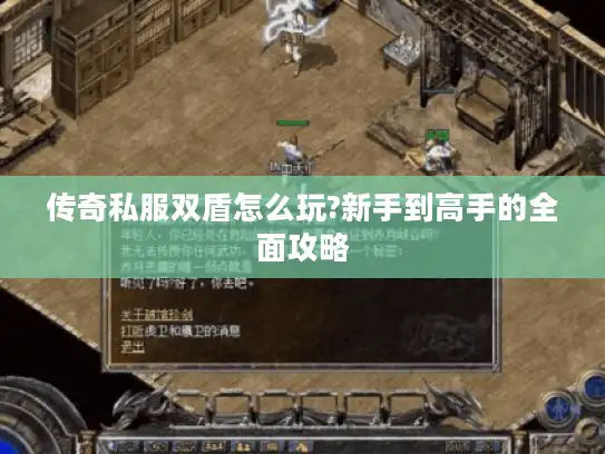 传奇私服双盾怎么玩?新手到高手的全面攻略