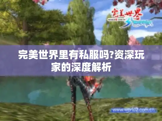 完美世界里有私服吗?资深玩家的深度解析