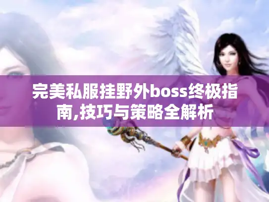 完美私服挂野外boss终极指南,技巧与策略全解析