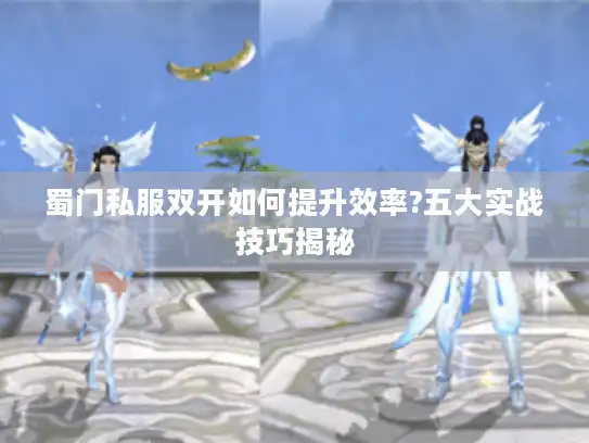 蜀门私服双开如何提升效率?五大实战技巧揭秘