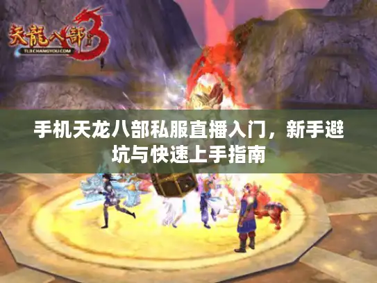 手机天龙八部私服直播入门，新手避坑与快速上手指南