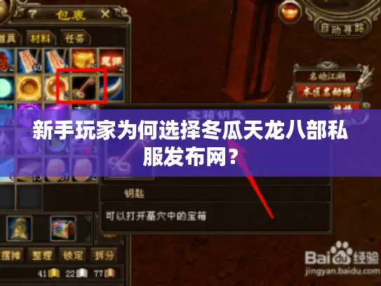 新手玩家为何选择冬瓜天龙八部私服发布网？