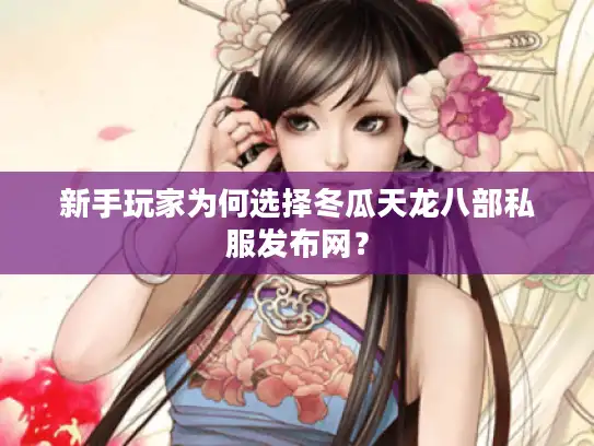 新手玩家为何选择冬瓜天龙八部私服发布网？