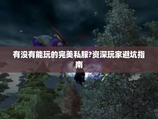 有没有能玩的完美私服?资深玩家避坑指南