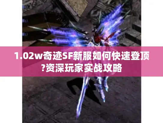 1.02w奇迹SF新服如何快速登顶?资深玩家实战攻略