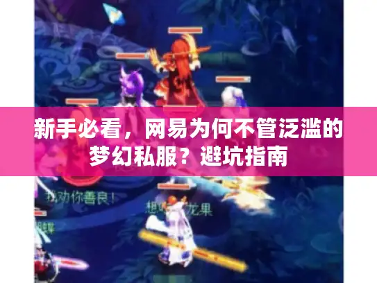 新手必看，网易为何不管泛滥的梦幻私服？避坑指南
