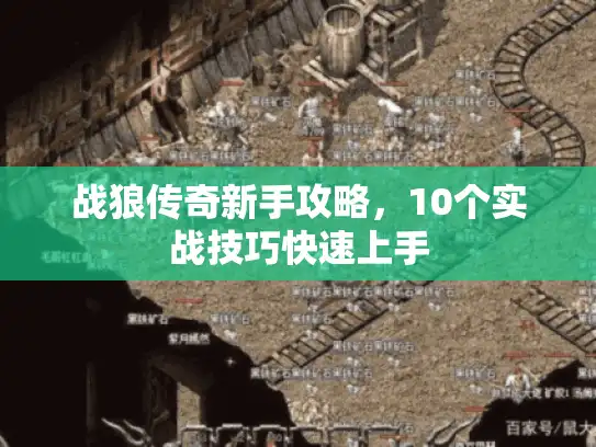 战狼传奇新手攻略,10个实战技巧快速上手 战狼传奇新手攻略,10个实战技巧快速上手