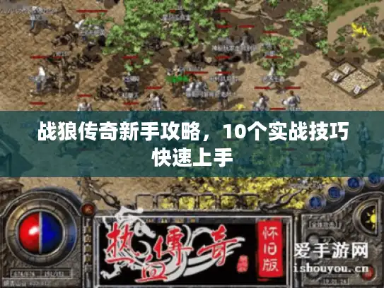 战狼传奇新手攻略,10个实战技巧快速上手 战狼传奇新手攻略,10个实战技巧快速上手
