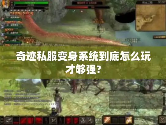 奇迹私服变身系统到底怎么玩才够强?