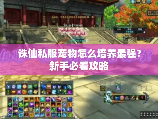 诛仙私服宠物怎么培养最强?新手必看攻略