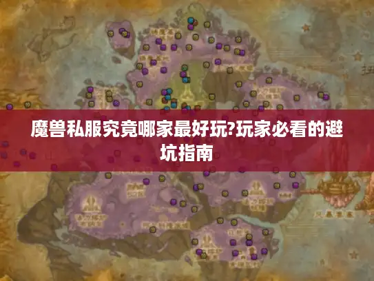 魔兽私服究竟哪家最好玩?玩家必看的避坑指南