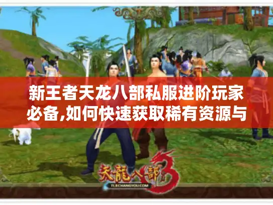 新王者天龙八部私服进阶玩家必备,如何快速获取稀有资源与战力提升?
