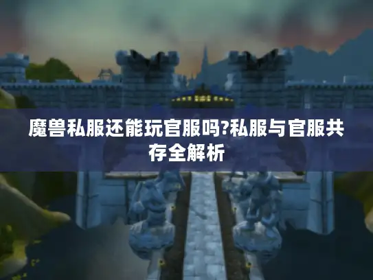 魔兽私服还能玩官服吗?私服与官服共存全解析