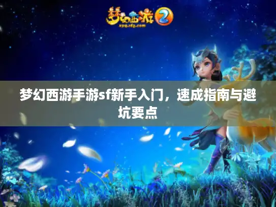 梦幻西游手游sf新手入门，速成指南与避坑要点