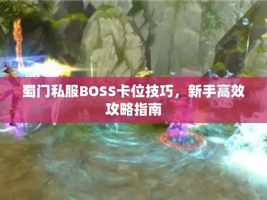 蜀门私服BOSS卡位技巧，新手高效攻略指南