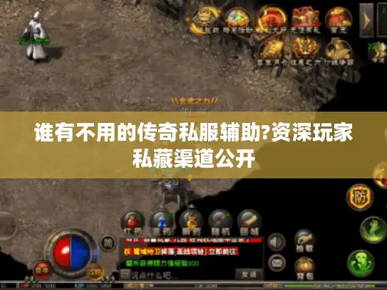 谁有不用的传奇私服辅助?资深玩家私藏渠道公开