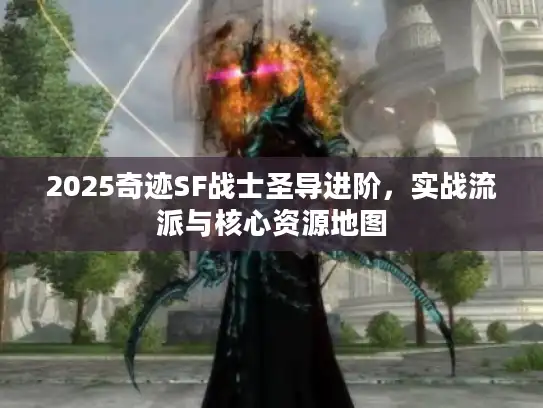 2025奇迹SF战士圣导进阶，实战流派与核心资源地图