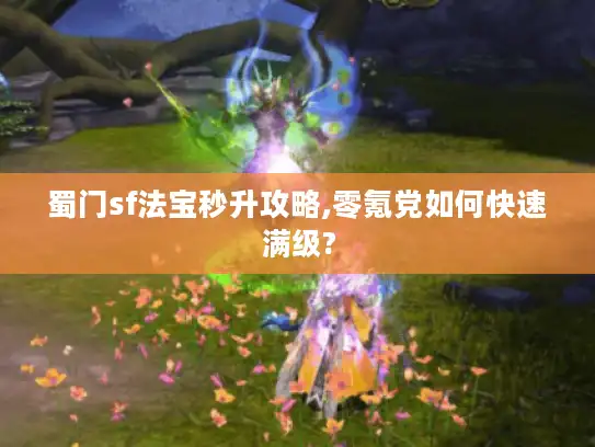 蜀门sf法宝秒升攻略,零氪党如何快速满级?