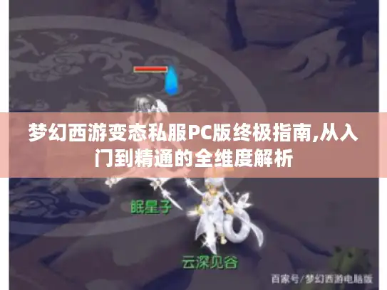 梦幻西游变态私服PC版终极指南,从入门到精通的全维度解析
