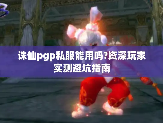诛仙pgp私服能用吗?资深玩家实测避坑指南