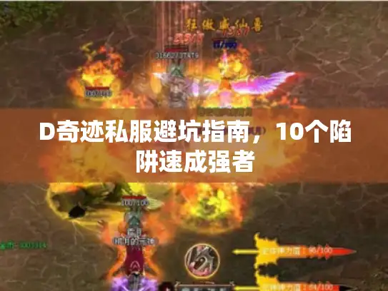 D奇迹私服避坑指南，10个陷阱速成强者