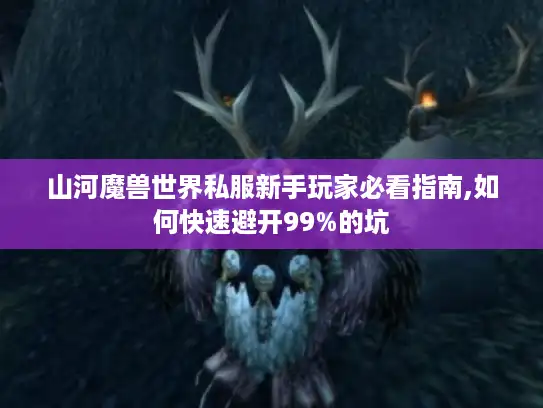 山河魔兽世界私服新手玩家必看指南,如何快速避开99%的坑