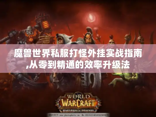 魔兽世界私服打怪外挂实战指南,从零到精通的效率升级法