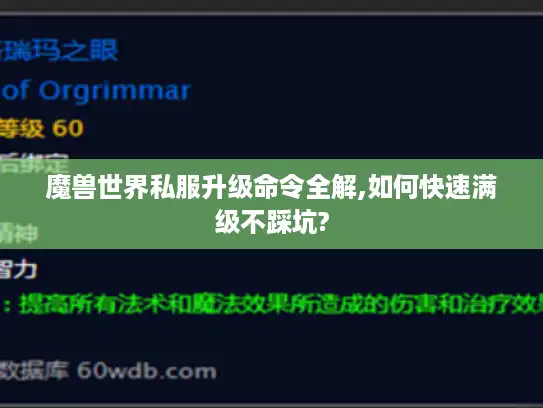 魔兽世界私服升级命令全解,如何快速满级不踩坑? 魔兽世界私服升级命令全解,如何快速满级不踩坑?