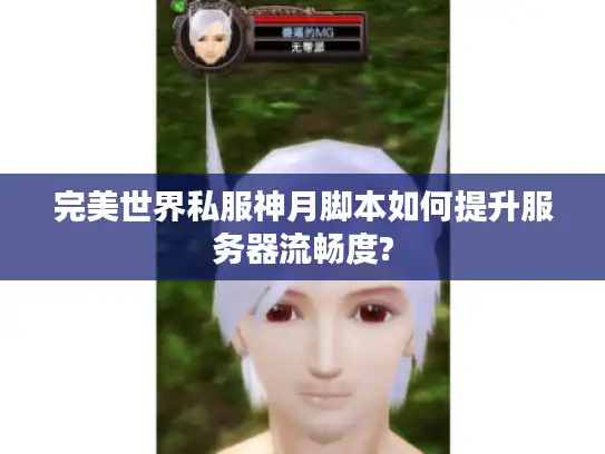 完美世界私服神月脚本如何提升服务器流畅度? 完美世界私服神月脚本如何提升服务器流畅度?