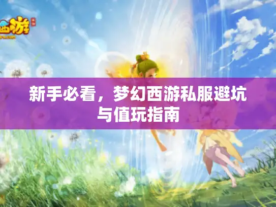 新手必看,梦幻西游私服避坑与值玩指南 新手必看,梦幻西游私服避坑与值玩指南