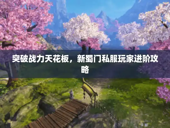 突破战力天花板，新蜀门私服玩家进阶攻略