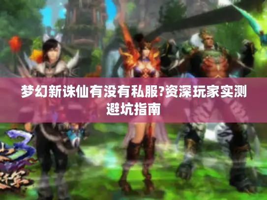 梦幻新诛仙有没有私服?资深玩家实测避坑指南