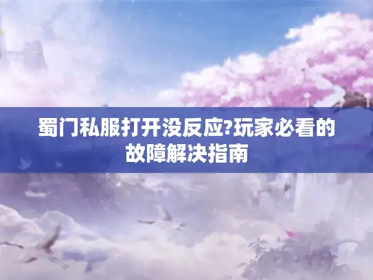 蜀门私服打开没反应?玩家必看的故障解决指南