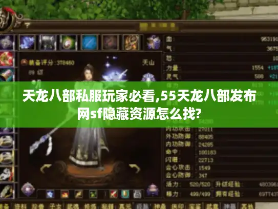天龙八部私服玩家必看,55天龙八部发布网sf隐藏资源怎么找?