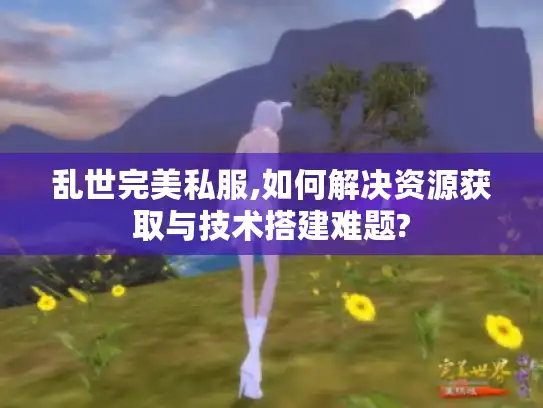 乱世完美私服,如何解决资源获取与技术搭建难题?