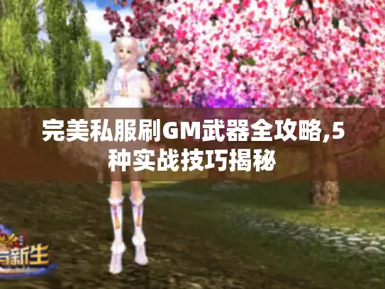 完美私服刷GM武器全攻略,5种实战技巧揭秘 完美私服刷GM武器全攻略,5种实战技巧揭秘