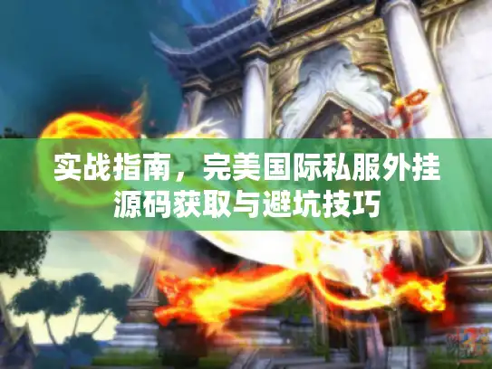 实战指南，完美国际私服外挂源码获取与避坑技巧