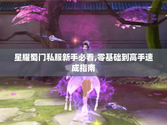 星耀蜀门私服新手必看,零基础到高手速成指南 星耀蜀门私服新手必看,零基础到高手速成指南