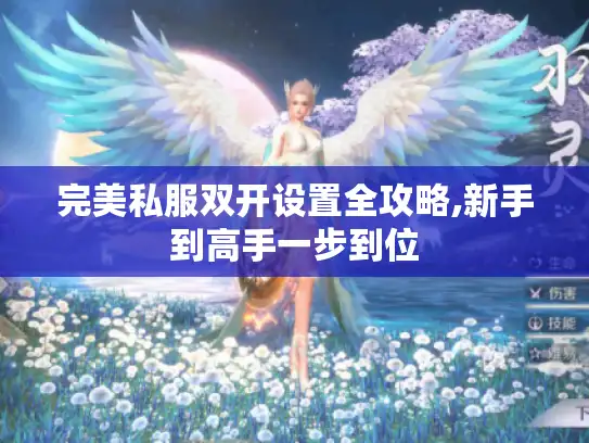 完美私服双开设置全攻略,新手到高手一步到位
