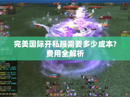完美国际开私服需要多少成本?费用全解析