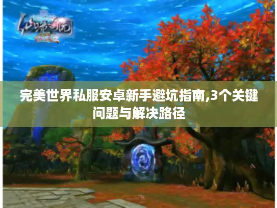完美世界私服安卓新手避坑指南,3个关键问题与解决路径