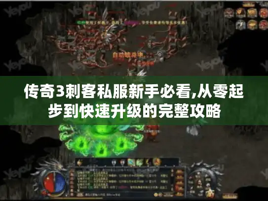 传奇3刺客私服新手必看,从零起步到快速升级的完整攻略