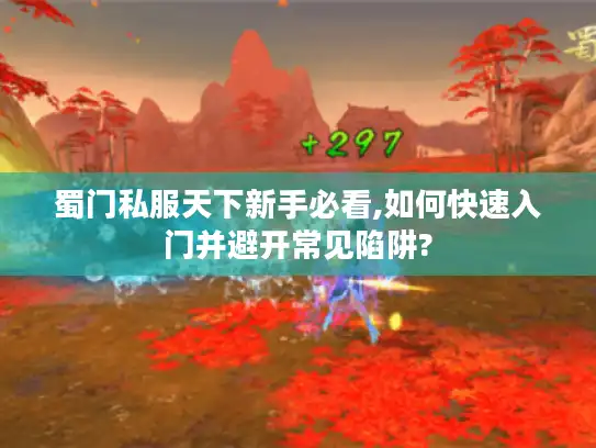 蜀门私服天下新手必看,如何快速入门并避开常见陷阱?