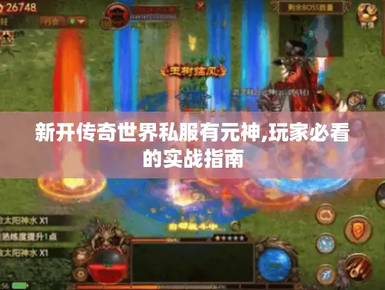 新开传奇世界私服有元神,玩家必看的实战指南
